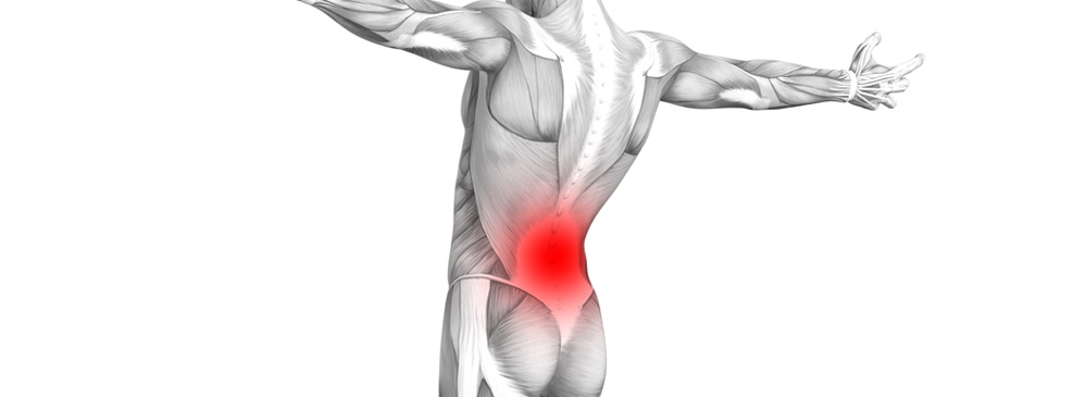 spine-skeleton-low-back-pain